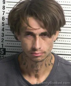 Mugshot of ISAAC ELIAS HERNANDEZ booked in Dona Ana County, New Mexico on July 9, 2026