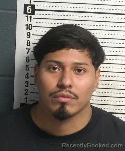 Mugshot of SERGIO RICARIO booked in Dona Ana County, New Mexico on July 10, 2026