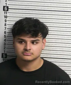Mugshot of SERGIO SALVADOR LUNA booked in Dona Ana County, New Mexico on July 10, 2026