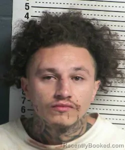 Mugshot of ISAIAH WALKER booked in Dona Ana County, New Mexico on July 11, 2026