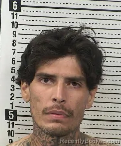 Mugshot of DARIO N CHAVEZ booked in Dona Ana County, New Mexico on July 11, 2026