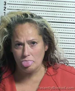 Mugshot of RENEE ANNE REHBERG booked in Dona Ana County, New Mexico on July 13, 2026