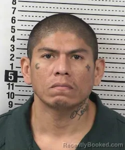 Mugshot of BRADLEY ISAIAH DAVIS booked in Dona Ana County, New Mexico on July 13, 2026