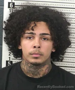Mugshot of Riane Martinez