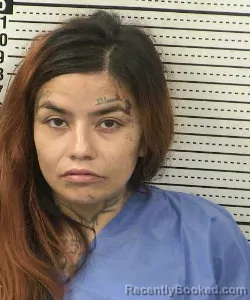 Mugshot of ANGELICA R'SHAE SALAS booked in Dona Ana County, New Mexico on July 16, 2026