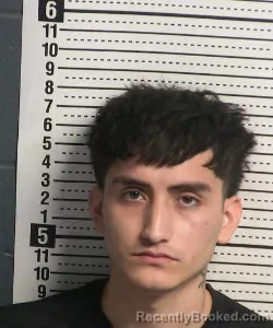 Mugshot of VICENTE REYES booked in Dona Ana County, New Mexico on July 17, 2026