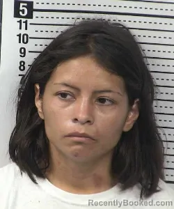 Mugshot of JOANA VAZQUEZ-OLVERA booked in Dona Ana County, New Mexico on July 17, 2026