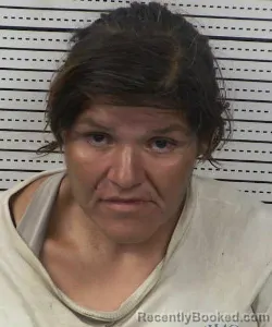Mugshot of MAGALY MARGARIT LUNA GALLEGOS booked in Dona Ana County, New Mexico on July 17, 2026