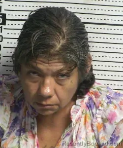 Mugshot of VICTORIA PEREZ booked in Dona Ana County, New Mexico on July 19, 2026