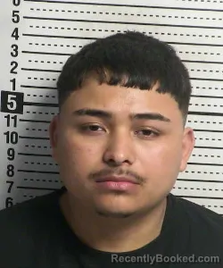 Mugshot of DIEGO ORTIZ booked in Dona Ana County, New Mexico on July 19, 2026