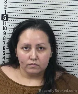 Mugshot of Michelle Ramirez booked in Dona Ana County, New Mexico on July 25, 2026