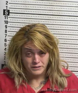 Mugshot of KRISTY JASMINE ROBERTS booked in Dona Ana County, New Mexico on August 4, 2026