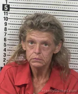 Mugshot of Sandra Ossorio booked in Dona Ana County, New Mexico on August 23, 2026