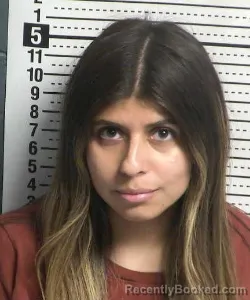 Mugshot of Erika Espadas Donner booked in Dona Ana County, New Mexico on August 24, 2026