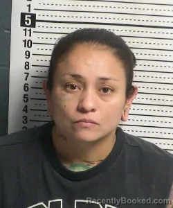 Mugshot of Nicole Holguin booked in Dona Ana County, New Mexico on August 25, 2026