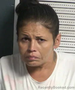 Mugshot of Lisa Meza booked in Dona Ana County, New Mexico on August 25, 2026