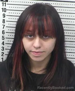 Mugshot of Brianna Schwartz booked in Dona Ana County, New Mexico on August 25, 2026