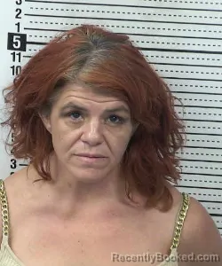 Mugshot of Cassandra Louise Gomez booked in Dona Ana County, New Mexico on August 26, 2026