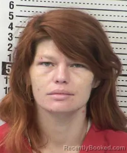 Mugshot of Patricia Gayle Livingston booked in Dona Ana County, New Mexico on August 26, 2026