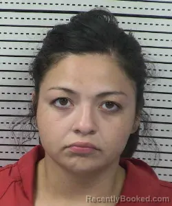 Mugshot of Lorena Ariana Marin booked in Dona Ana County, New Mexico on August 26, 2026