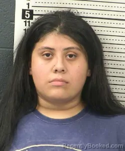 Mugshot of Stephanie Martha Tablon booked in Dona Ana County, New Mexico on August 27, 2026