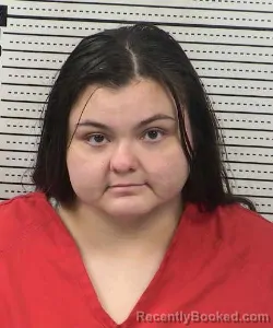 Mugshot of Sarah Celine Young booked in Dona Ana County, New Mexico on August 27, 2026