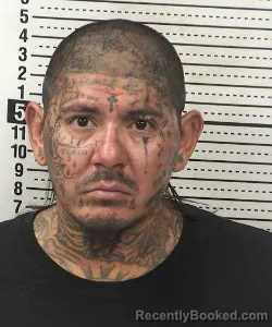 Mugshot of Luis Rosales booked in Dona Ana County, New Mexico on August 27, 2026