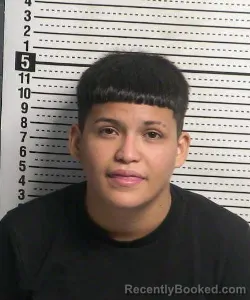 Mugshot of Lesli Gabrlela Delgado booked in Dona Ana County, New Mexico on August 27, 2026
