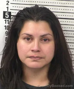 Mugshot of Cristal Nicole Gamboa booked in Dona Ana County, New Mexico on August 28, 2026