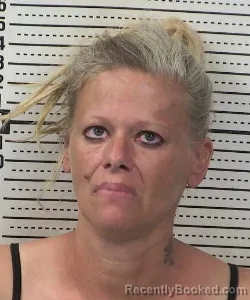 Mugshot of Christina Danielle Westover booked in Dona Ana County, New Mexico on August 28, 2026