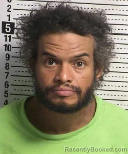 Mugshot of Logan Troy Elden Mintz booked in Dona Ana County, New Mexico on August 29, 2026