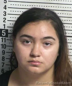 Mugshot of Victoria A Villareal booked in Dona Ana County, New Mexico on August 30, 2026