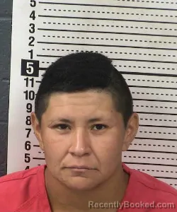 Mugshot of Andrea Nicole Varela booked in Dona Ana County, New Mexico on August 31, 2026