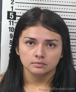 Mugshot of Rocio Carrillo Rameh booked in Dona Ana County, New Mexico on September 1, 2026
