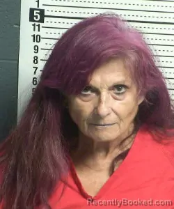 Mugshot of Donna Hollingshead booked in Dona Ana County, New Mexico on September 2, 2026