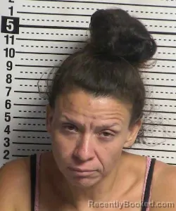 Mugshot of Julie Ann Luna booked in Dona Ana County, New Mexico on September 3, 2026