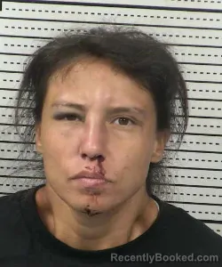 Mugshot of Daysi Gardea booked in Dona Ana County, New Mexico on September 3, 2026