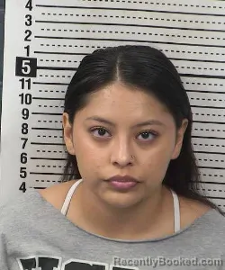 Mugshot of Chancey Lyanne Vicenti booked in Dona Ana County, New Mexico on September 4, 2026