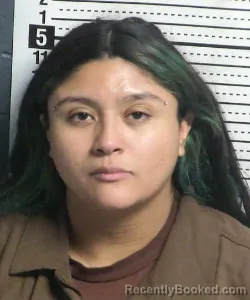 Mugshot of Yadira Cano booked in Dona Ana County, New Mexico on September 7, 2026