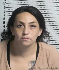 Mugshot of Vanessa Cota booked in Dona Ana County, New Mexico on September 7, 2026
