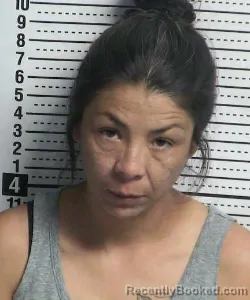 Mugshot of Diana Denise Garcia booked in Dona Ana County, New Mexico on September 8, 2026