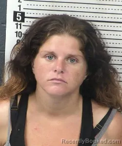 Mugshot of Amber Lindsey booked in Dona Ana County, New Mexico on September 8, 2026