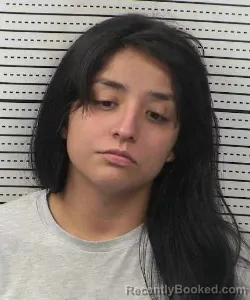 Mugshot of Johanna Ramirez booked in Dona Ana County, New Mexico on September 9, 2026