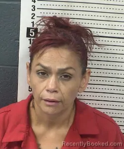Mugshot of Viviana Dominguez-Salas booked in Dona Ana County, New Mexico on September 10, 2026