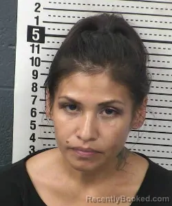 Mugshot of Gabriela Castillo booked in Dona Ana County, New Mexico on September 10, 2026