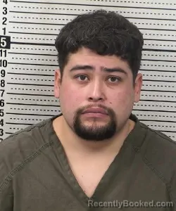 Mugshot of Pedro Martinez-Echavarria booked in Dona Ana County, New Mexico on September 11, 2026