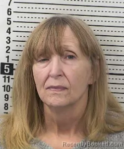 Mugshot of Kim Renee Stevenson booked in Dona Ana County, New Mexico on September 11, 2026