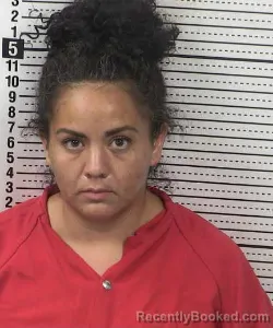 Mugshot of Erika Rochelle Garcia booked in Dona Ana County, New Mexico on September 14, 2026