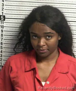 Mugshot of Amari Lucille Clinton booked in Dona Ana County, New Mexico on September 16, 2026