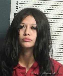 Mugshot of Destiny Delia Dominguez booked in Dona Ana County, New Mexico on September 23, 2026